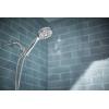 Moen 209H0 Ignite Handheld Shower, Chrome