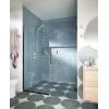 Moen 209H0 Ignite Handheld Shower, Chrome