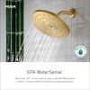 Moen 3667EPBG Eco-Performance Handheld Showerhead with 69-Inch-Long Hose Featuring 30-Inch Slide Bar, Brushed Gold