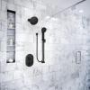 Moen 3670EPBN 5-Function Massaging Handshower with Toggle Pause, Includes 30-Inch Slide Bar and 69-Inch Hose, Brushed Nickel(Matte Black)