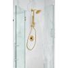 Moen Annex Brushed Nickel Shower Slidebar and Shower Hose System Trim, Valve Required, TS3661NHBN(Brushed Gold)