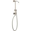 Moen Annex Brushed Nickel Shower Slidebar and Shower Hose System Trim, Valve Required, TS3661NHBN(Brushed Nickel)