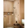 Moen Brushed Gold Modern Eco-Performance Handshower, Handheld Shower with 30-Inch Slide Bar and 69-Inch Metal Hose, 3887EPBG(Brushed Nickel)
