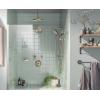Moen Eco-Performance Chrome Four-Function Removable Handheld Showerhead with 69-Inch-Long Hose and Wall-Mounted Slide Bar, 3667EP(Brushed Nickel)