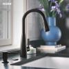 Moen Haelyn Spot Resist Stainless Single-Handle Pull-Down Sprayer Kitchen Faucet with an LED Light ColorCue Temperature Indicator and Soap Dispenser, 87627EISRS(Matte Black)
