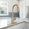 Moen Meena One Handle Kitchen Faucet with Pull Down Sprayer, High Arc Kitchen Sink Faucet Featuring Reflex System and Duralock Quick Connect, Bronzed Gold, 87270BZG(Bronzed Gold)