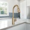 Moen Meena One Handle Kitchen Faucet with Pull Down Sprayer, High Arc Kitchen Sink Faucet Featuring Reflex System and Duralock Quick Connect, Bronzed Gold, 87270BZG(Bronzed Gold)
