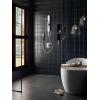 Moen N214R0SRN Spa Shower Rainshower, Spot Resist Brushed Nickel(Chrome/White)