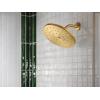 Moen S112BG Waterhill 10-Inch Single Function Rainshower Showerhead with Immersion Rainshower Technology, Brushed Gold