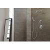 Moen S11705EP Showering Accessories-Premium Eco-Performance Handshower Handheld Shower, Chrome