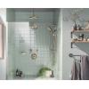 Moen S6310WR ExactTemp 7″ Single Function Rainshower Showerhead with Immersion Technology at 2.5 GPM Flow Rate, Wrought Iron(Brushed Nickel)
