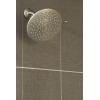 Moen Velocity Chrome Two-Function Rainshower 8-Inch Shower Head with Immersion Technology for a High-Pressure Rinse, S6320(Brushed Gold)