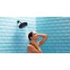 Moen Velocity Chrome Two-Function Rainshower 8-Inch Shower Head with Immersion Technology for a High-Pressure Rinse, S6320(Oil Rubbed Bronze)