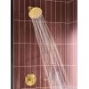 Moen Verso Infiniti Dial Round Rain Shower Head, 7-Inch Diameter Spray Head, Brushed Nickel, 220R7BN(Brushed Gold)