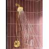 Moen Verso Infiniti Dial Square Handheld Shower, 5-Inch Diameter Spray Head, Matte Black, 220H5BL(Brushed Gold)