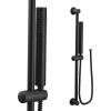 Moen Brushed Gold Modern Eco-Performance Handshower, Handheld Shower with 30-Inch Slide Bar and 69-Inch Metal Hose, 3887EPBG(Matte Black)