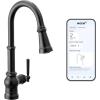 Moen Paterson Matte Black Water Filtration One-Handle High Arc Pulldown Kitchen Faucet, Water Filter for Sink Faucet Sold Separately, FS72003BL(Matte Black)