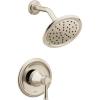 Polished Nickel