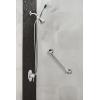 Moen Align Chrome Moentrol Volume Control Modern Shower Faucet Lever Handle, Valve Required, T3291(Chrome)