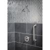 Moen Eva Brushed Nickel One-Handle Posi-Temp Shower Trim Kit Featuring Shower Head and Shower Lever Handle, Valve Required, T2132BN(Brushed Nickel)