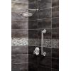 Moen S110 Arris 14-Inch Rainshower Straight Shower Arm and Flange for Overhead Showerhead, Chrome