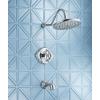 Moen Waterhill Brushed Nickel 14-Inch Replacement Extension Curved Shower Arm, S113BN