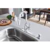 MOEN Noell Single-Handle Pull-Down Sprayer Kitchen Faucet with Reflex and Soap Dispenser in Chrome