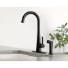 Moen 7870BL Sleek One-Handle High Arc Kitchen Faucet with Side Spray, Black Matte