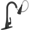Moen 87912BL Georgene Matte Black Single Handle High-Arc Kitchen Faucet with Sprayer Function (Deck Plate Included)