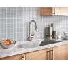 Moen CA87011SRS Single Handle Kitchen Faucet with Pullout Spray from the Kleo Collection, Spot Resist Stainless