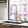 Moen Inara Chrome Pulldown Kitchen Faucet with Power Boost, Modern Kitchen Faucet, One-Handle High Arc, Easy Installation, 87463(Bronzed Gold)