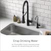 Moen Sip Chrome Traditional Drinking Water Beverage Faucet with Optional Filtration System, F7600(Chrome)