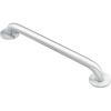 Moen Home Care Bathroom Safety 24 Inch Stainless Steel Handicap Grab Bar for Bathtub and Shower, Heavy Duty Handle, Elderly Assistance Product with Concealed Screws, 8724(Stainless)