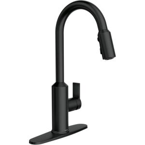 Moen Meena One Handle Kitchen Faucet with Pull Down Sprayer, High Arc Kitchen Sink Faucet Featuring Reflex System and Duralock Quick Connect, Matte Black, 87270BL
