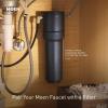 Moen Sip Traditional Cold Water Kitchen Beverage Faucet, Brushed Gold Finish, S5530BG(Brushed Gold)