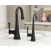 Moen Chrome Kurv One-Handle High Arc Single Mount Cold Water Beverage Faucet with Optional Filtration System, S5560(Matte Black)