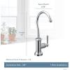 Moen Chrome Paterson Sip Industrial Cold Water Kitchen Beverage Faucet with Optional Filtration System, S5540(Chrome)