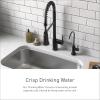 Moen F7660BL Sip Modern Drinking Water Beverage Faucet with Optional Filtration System (Sold Separately), Matte Black