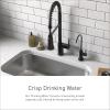 Moen Sip Spot Resist Stainless Traditional Drinking Water Beverage Faucet with Optional Filtration System, F7600SRS