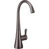 Moen Black Stainless Sip Transitional Cold Water Kitchen Beverage Faucet with Optional Filtration System, S5520BLS