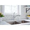Moen 87039 One-Handle Pullout Kitchen Faucet, Chrome