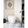Moen 3-Series White Tankless Bidet, One Piece Elongated Toilet with Remote Control, ET1300(ET900)
