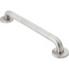 Moen Home Care Bathroom Safety 24 Inch Stainless Steel Handicap Grab Bar for Bathtub and Shower, Slip Resistant Peened Texture, Elderly Assistance Product, Polished Brass, R8724P(Stainless)