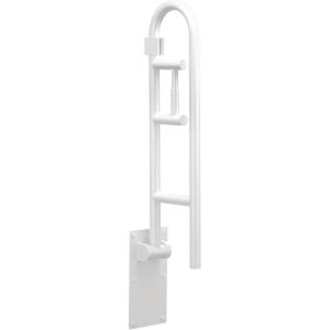 Moen Home Care Bathroom Safety 30 Inch Stainless Steel Flip Up Bathroom HandicapGrab Bar with Toilet Paper Holder, Elderly Assistance Product, R8962FD(Glacier)
