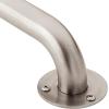 Moen 7412 Bathroom Safety 12-Inch Stainless Steel Bathroom Grab Bar with Exposed Screws, Stainless