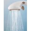 Moen DN8001 Home Care Hand Held Showers, Glacier