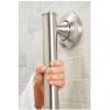 Moen LR8716D1GBN Home Care 16-Inch Grab Bar, Brushed Nickel(Brushed Nickel)