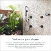 Moen Smart Shower Digital Shower Backup Battery Kit with 6 D Batteries, 179573