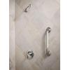 Moen YG2818CH Bathroom Safety 18-Inch Stainless Steel Transitional Bathroom Grab Bar, Chrome