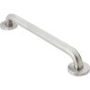 Moen R8716W Bathroom Safety 16-Inch Stainless Steel Bathroom Grab Bar with Concealed Screws, Glacier White(Peened)